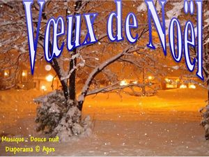 voeux_de_noel___apex