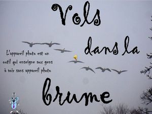 vols_dans_la_brume__roland
