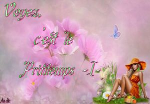 voyez_c_est_le_printemps_1_dede_51