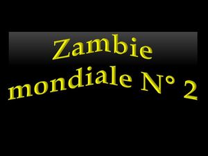 welt_sambia_nr_2