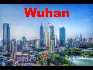 wuhan_ibolit