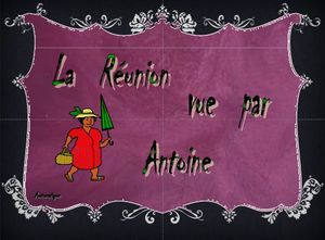 la_reunion_vue_par_antoine