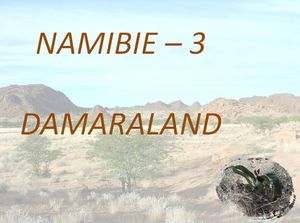 namibie_3_damaraland_marijo