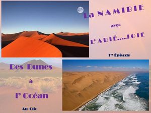 namibie_entre_dunes_et_ocean_1_ariejoie