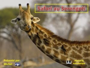 safari_au_serengeti_michel
