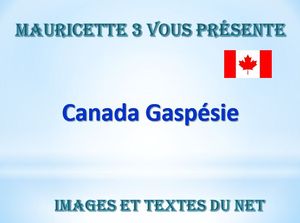 canada_gaspesie_mauricette3