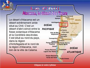 chili__atacama_le_desert_des_fleurs