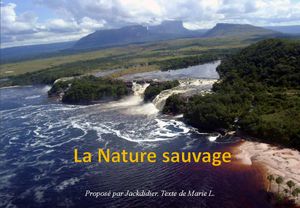 la_nature_sauvage_jackdidier