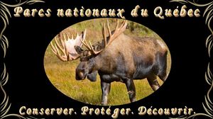 parcs_nationaux_du_quebec_maumau