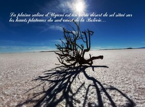 salar_uyuni_2_douceurcm