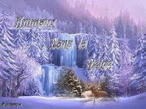 animaux_dans_la_neige_dede_51