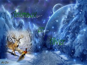 animaux_en_hiver_dede_51