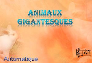 animaux_gigantesques_chantha