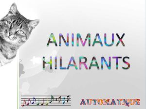 animaux_hilarants_chantha