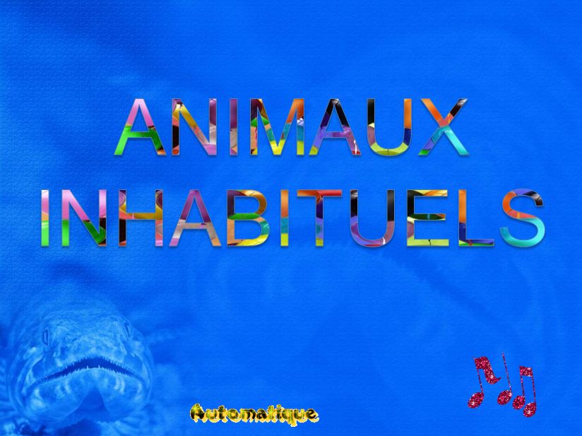 animaux_inhabituels_chantha