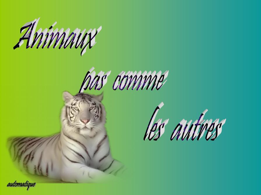 animaux_pas_comme_les_autres_dede51