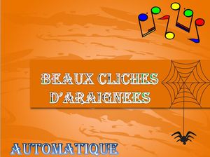 beaux_cliches_d_araignees_chantha_