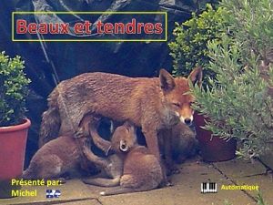 beaux_et_tendres_michel