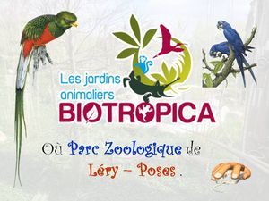 biotropica_le_zoo_p_sangarde
