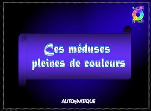 ces_meduses_pleines_de_couleurs_chantha