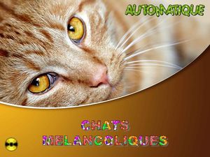 chats_melancoliques_chantha