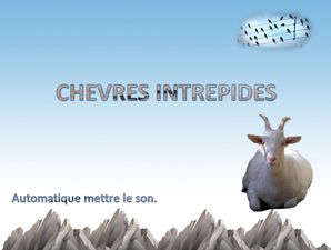 chevres_intrepides_chantha