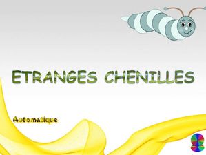 etranges_chenilles_chantha