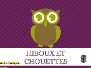 hiboux_et_chouettes_chantha