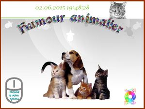 humour_animalier_2_chantha