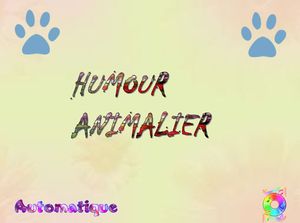 humour_animalier_chantha