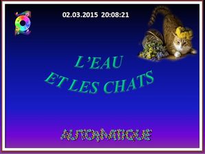 l_eau_et_les_chats_chantha