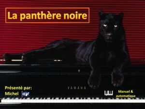 la_panthere_noire_michel