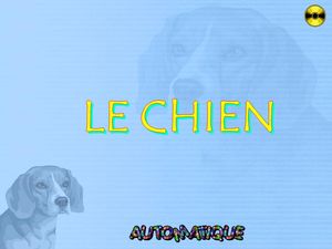 le_chien_chantha