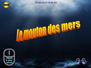 le_mouton_des_mers_chantha