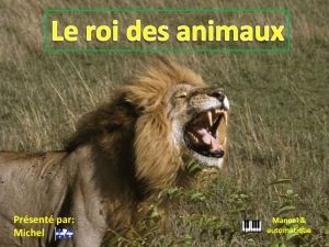 le_roi_des_animaux_michel