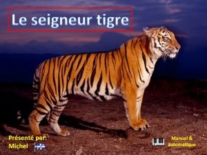 le_seigneur_tigre_michel