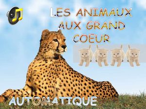 les_animaux_aux_grand_coeur_chantha