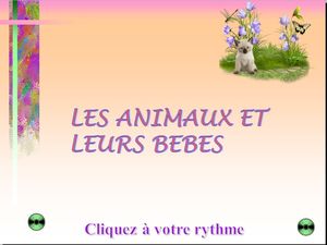 les_animaux_et_leurs_bebes_chantha