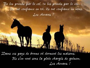 les_chevaux