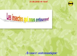 les_insectes_qui_nous_entourent_chantha