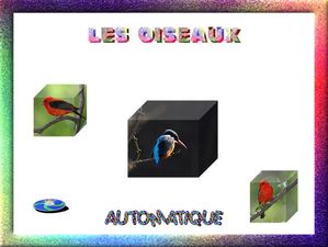 les_oiseaux_chantha