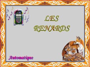 les_renards_chantha