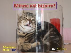 minou_est_bizarre_michel