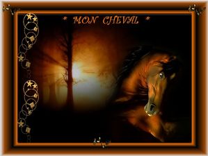 mon_cheval__fabie_novembre_2011