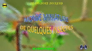 monde_miniature_de_quelques_insectes_chantha