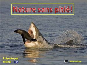 nature_sans_pitie_michel