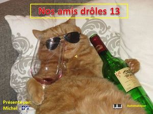 nos_amis_droles_13_michel