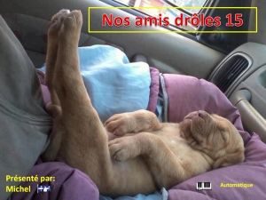 nos_amis_droles_15_michel