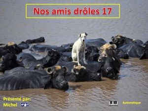 nos_amis_droles_17_michel