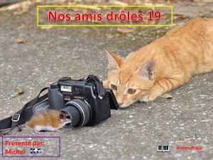 nos_amis_droles_19_michel